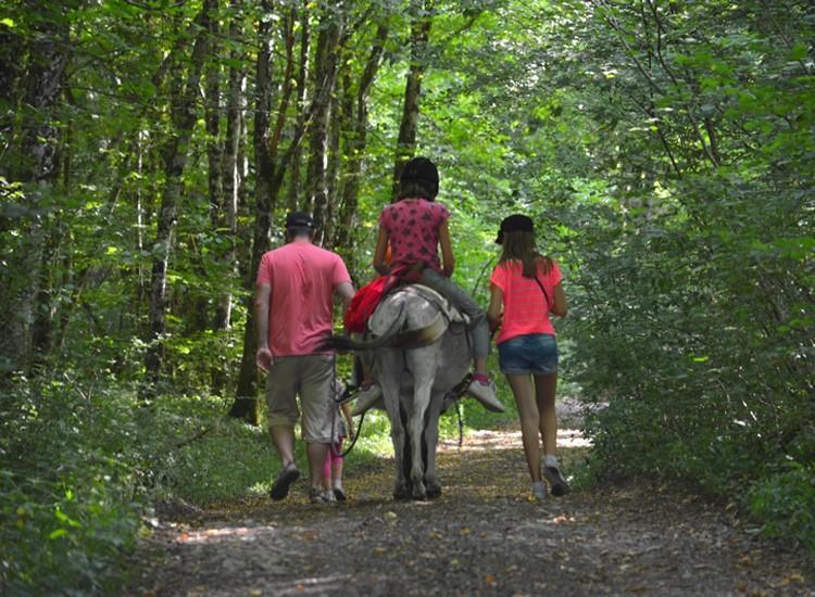 Ferme Pedagogique " L'Bout D'Chemin" Villa Genevreuille Екстериор снимка