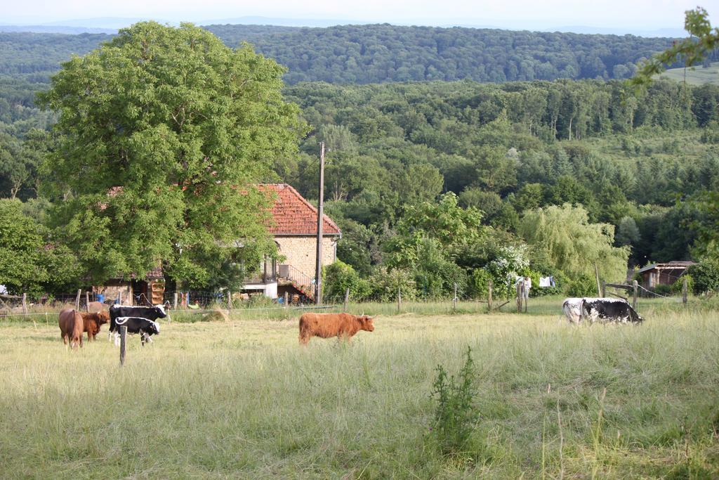 Ferme Pedagogique " L'Bout D'Chemin" Villa Genevreuille Екстериор снимка